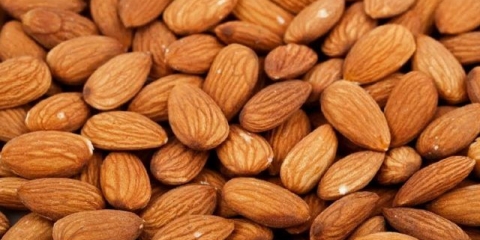 Bademi: koristi i štete orašastih plodova